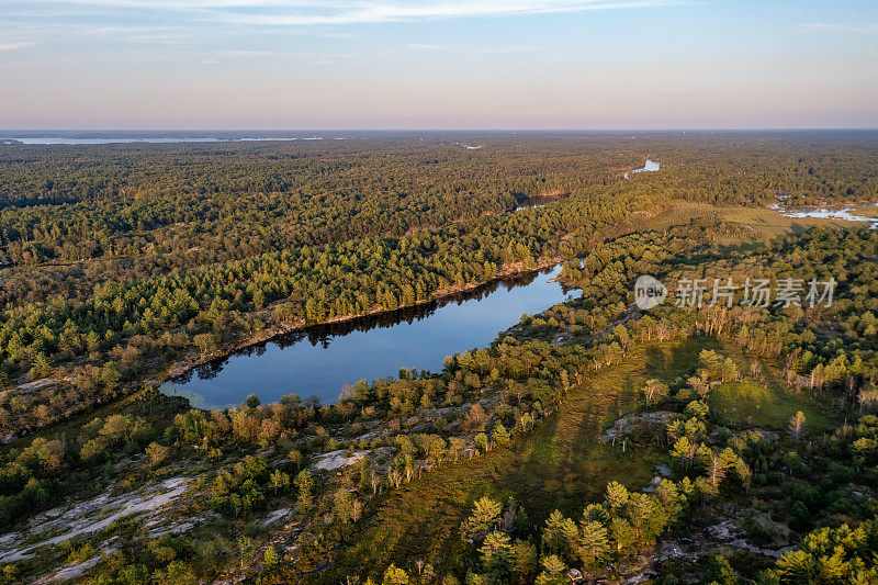 黄昏时的Muskoka Torrance Barrens Dark-Sky保护区，Gravenhurst，加拿大